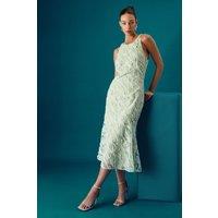 Coast Women's Muse Textured Sleeveless Midi Dress in Sage | Size: 10