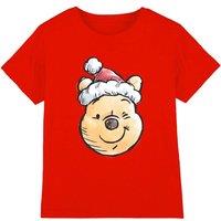 Winnie the pooh 