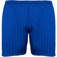 Britwear PE Sport Shorts in Blue | Size: 3-4 Years