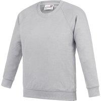AWDis Academy Crew Neck Raglan School Sweatshirt in Grey | Size: 13 Years