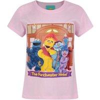 Sesame Street Girl's Short Sleeved T-Shirt | Pink | Official Merch | Size: 5-6 Years