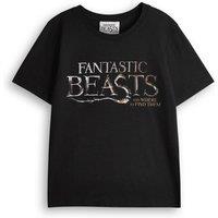 Fantastic Beasts And Where To Find Them 