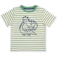 Kite Boy's Dino Friends T-Shirt in Green | Size: 9-12 m