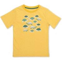 Kite Boy's Giant Tortoise T-Shirt in Yellow | Size: 9-12 m