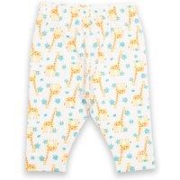 Kite Baby Hello Giraffe Organic Cotton Leggings | Size: 9-12 m