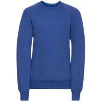 JERZEES Plain Red Sweatshirt in Pale Blue | Size: 1-2 Years