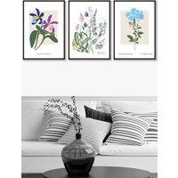 ARTZE Set of 3 Black Framed Vintage Graphical Colourful Wild Flower Market Wall Art | Size: W33 cm x H45 cm x D20mm
