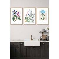 ARTZE Set of 3 Oak Framed Vintage Graphical Colourful Wild Flower Market Wall Art | Size: W53 cm x H73 cm x D20mm