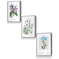 ARTZE Set of 3 Light Grey Framed Vintage Graphical Colourful Wild Flower Market Wall Art | Size: W33 cm x H45 cm x D20mm