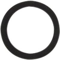 John Guest 3/4" Thread Washer in Black
