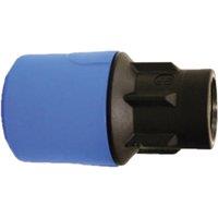 John Guest Blue Adaptor 25mm X 3/4" Female UG4502B