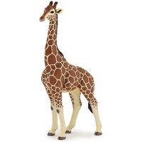 Papo Wild Animal Kingdom Giraffe Male Toy Figure, Three Years or Above, Multi-colour (50149)