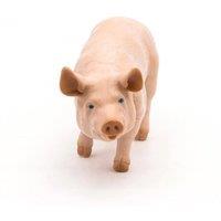 Papo Farmyard Friends Boar Toy Figure, Three Years or Above, Pink (51044)