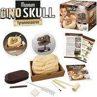 Buki Dinosaur Skull - Tyrannosaurus in Brown