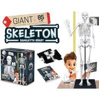 Buki Skeleton - 85cm in White | Size: 1 Pack
