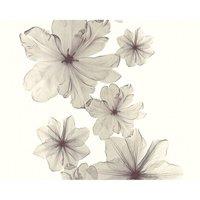 A.S. Creation Flower Bloom Pattern Botanical Floral Stripe Textured Wallpaper in Grey