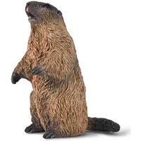 CollectA Marmot - Realistic & Hand Finished Animal Figure