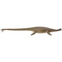 CollectA Thalassomedon Dinosaur Toy in Light Green
