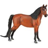 CollectA Morgan Bay Horse Toy in Brown