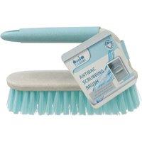 JVL Pro Clean Anti-Bacteria Scrubbing Brush with Handle in Blue | Size: 1 Pack