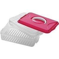 Orsina Hot Pink 2 Layer Food Container in Clear