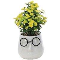 Primrose Artificial House Plant in White Pot with Black Glasses Design 17cm