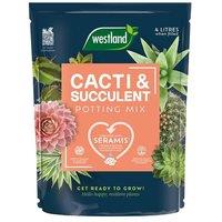 Westland Cacti & Succulent Potting Mix in Blue