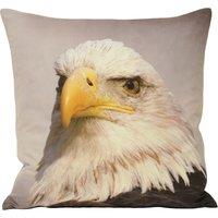 Paoletti Animal Eagle Photographic Print Cushion in Grey | Size: 45 cm x 45 cm