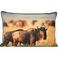 Paoletti Wildebeest Photographic Print Cushion in Tan | Size: 40 cm x 60 cm
