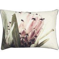 Linen House Alice Grandiflora Pillowcase Set