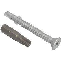 Forgefix Techfast Roofing Screw Timber - Steel Light Section 5.5 X 50Mm Pack in Silver