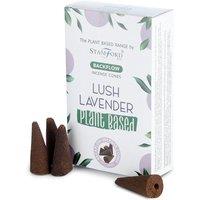 KDMD Plant Based Backflow Incense Cones - Lush Lavender in White