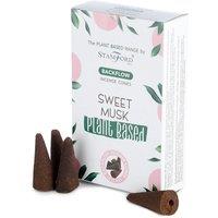 KDMD Plant Based Backflow Incense Cones - Sweet Musk in White
