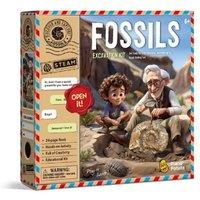 Discover And Explore Fossils Excavation Kit
