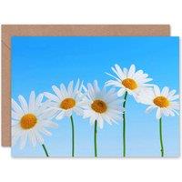 Artery8 Daisy Flowers Blue Sky Bright Wildflowers Floral Nature Card