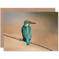 Artery8 Kingfisher Bird on Branch Animal Nature Photograph Card