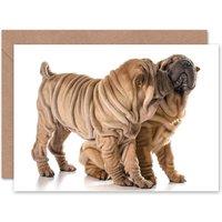 Artery8 Shar Pei Cute Dog Lover Friends Friendship Card