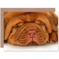 Artery8 Shar Pei Sleep Cute Dog Art Blank Just to Say Card