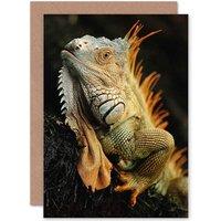 Artery8 Iguana Lizard Reptile Animal Portrait Photograph Nature Card