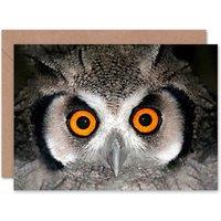 Artery8 African White Faced Wide Eyes Bird Owl Birthday Card