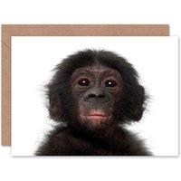 Artery8 Cute Bonobo Chimp Chimpanzee Baby Animal Photograph Card
