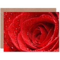 Artery8 Beautiful Red Rose Dew Water Drops Macro Close Up Flower Card
