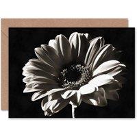 Artery8 White Gerbera Flower Bloom Photo Birthday Card