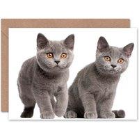 Artery8 Cat Lover British Shorthair Kittens Animal Photograph Card