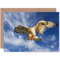 Artery8 Majestic Eagle Bird Hunting Dive Scene Animal Lover Card