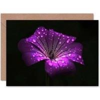 Artery8 Water Drops On Purple Flower Petals Floral Greeting Card