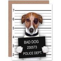 Artery8 Jack Russell Dog Mugshot Police Bad Photo Birthday Greetings Card in Black
