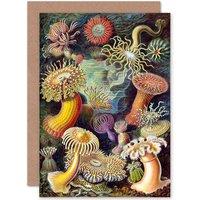 Artery8 Nature Biology Anemone Erns Haeckel Germany Greetings Card