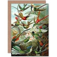 Artery8 Nature Biology Bird Humming Ernst Haeckel Germany Greetings Card in Green