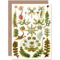 Artery8 Nature Biology Plant Ernst Haeckel Germany Advert Greetings Card in Green